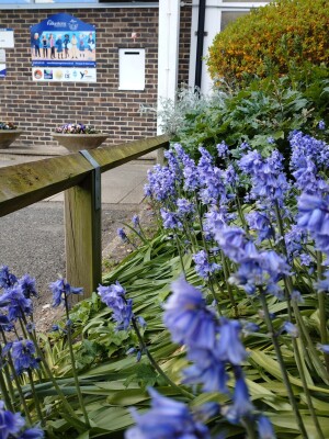 Article Thumbnail Image