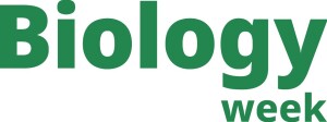 Article Thumbnail Image
