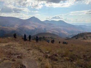 Article Thumbnail Image